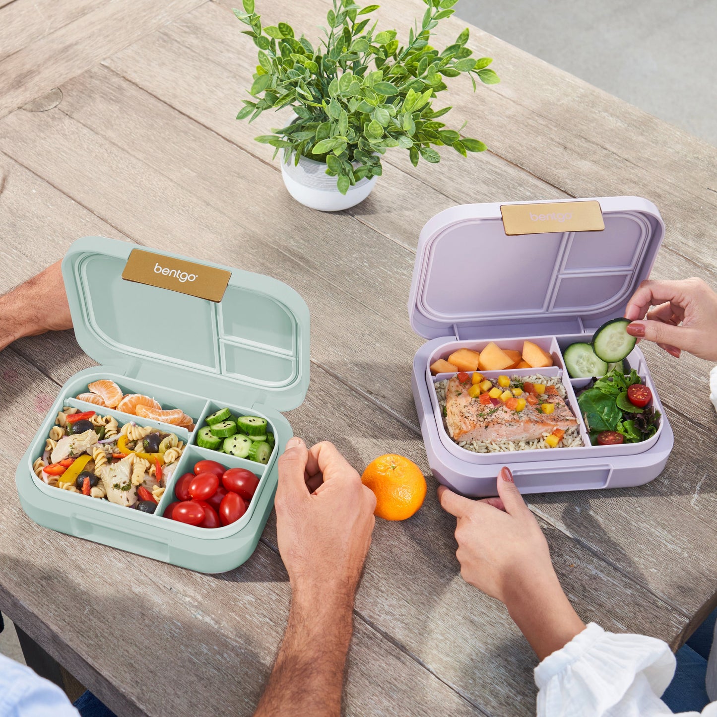 bentgo-modern-lunch-box-2-pack-t6 COSTCOBMCPRODUCTIMAGE_2.jpg